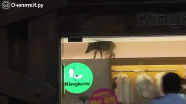 Уникална видео сензация!!! Женски глиган, влезе и предизвика паника в хонконгски Мол