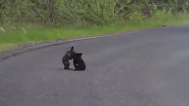 Две мечета играят на шосе