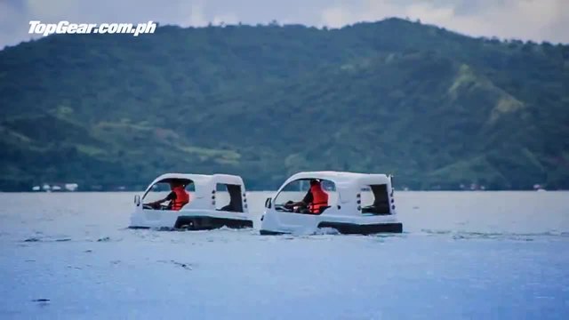 Salamander Триколка – амфибия