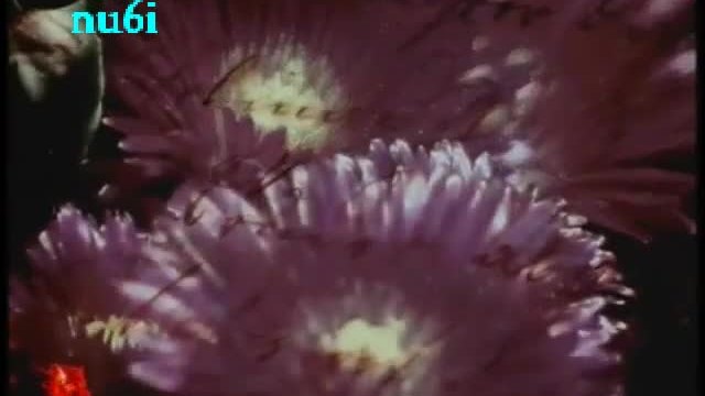 НЕЗАБРАВИМА (UNUTULMAZ) Бг.аудио 2009-2011