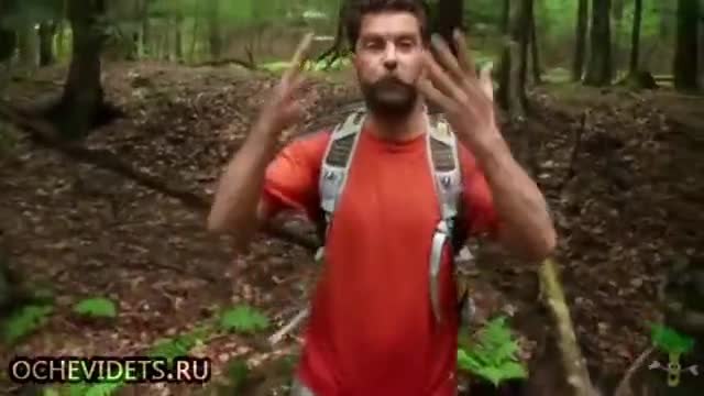 Интересен начин за ловене на риба