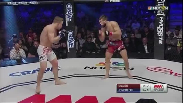MMA-Rama VS Bl.Ivanov BAGATA- Palmer vs. Horodecki 05.06.2015г-ЧАСТ2