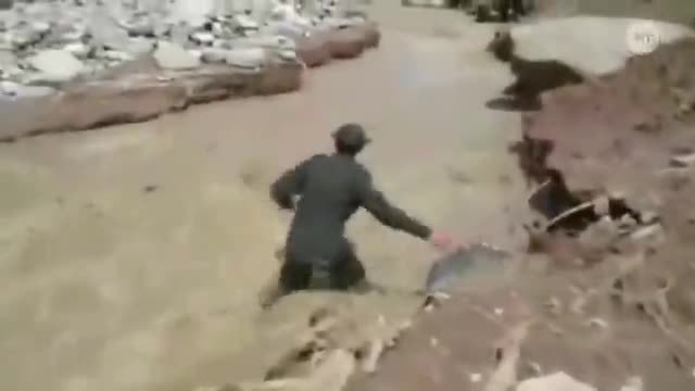 Полицаи скочи в свлачище за да спестят куче