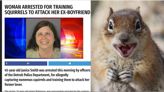 Потресаващо! Жена тренира катерица да напада вече бившия й приятел