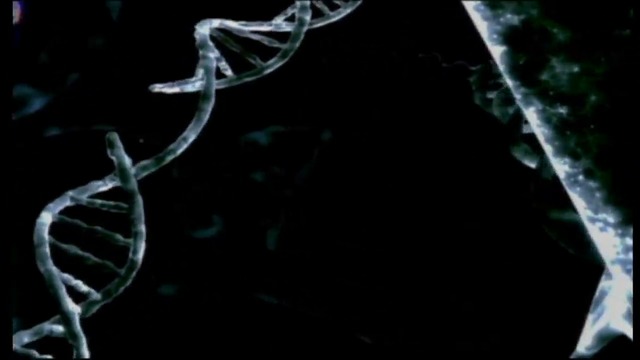 Отваряне на Спайдър-мен 2002 DVD