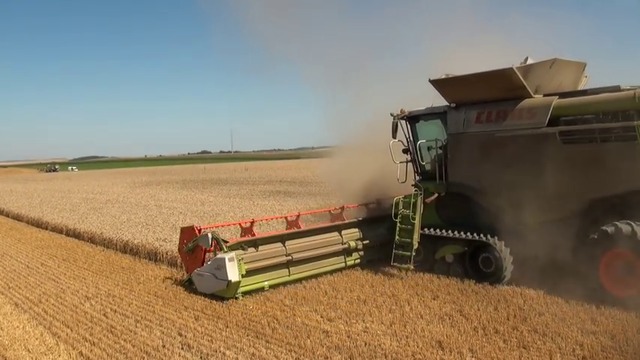 CLAAS Lexion 780