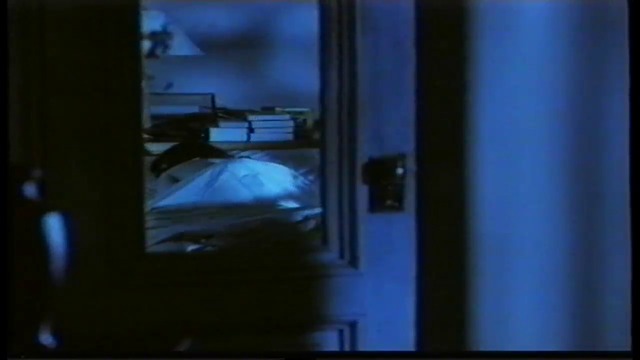 Неомъжена бяла жена (1992) (бг субтитри) (част 5) VHS Rip Мейстар 1998