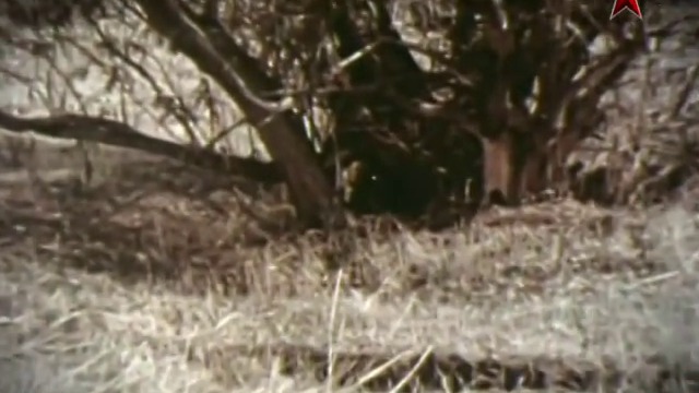 Сделано в СССР. Снайперская винтовка "Драгунова"