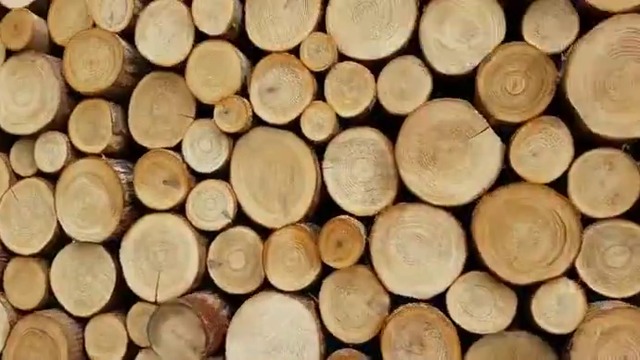 ОТИВАМ ЗА ДЪРВА ,НЕ МЕ ЧАКАЙТЕ ЗА ОБЯД