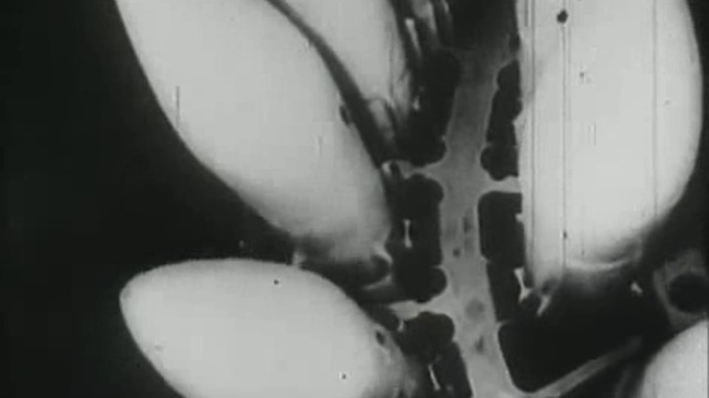 Всевидящий глаз. "РЛС ДАРЬЯЛ" (част 2 )