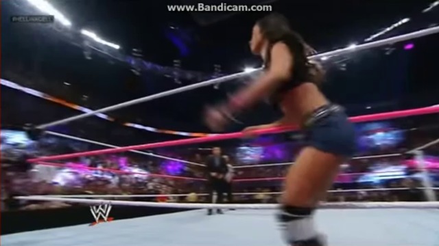 AJ Lee VS. Brie Bella - Total Divas