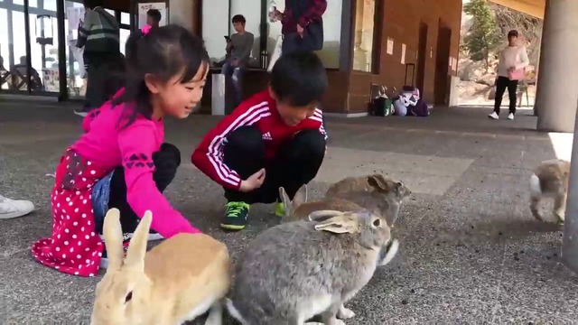 ОСТРОВЪТ НА ЗАЙЦИТЕ- ОКУНОШИМА ЯПОНИЯ