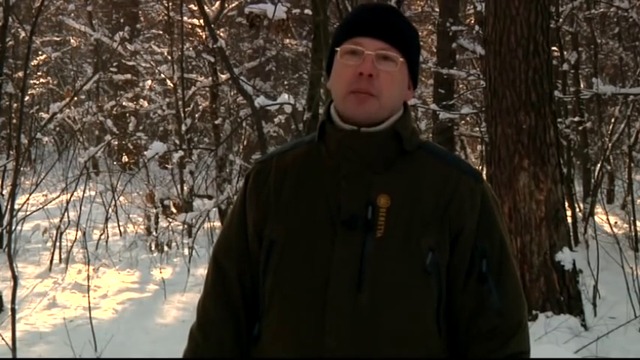 Пистолет "ТТ" (1)