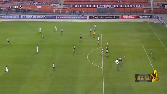 08.06.17 Сантос - Ботафого 1:0