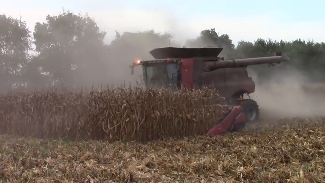 Two Case IH 9240 Combines with 4416 16 row Corn Heads
