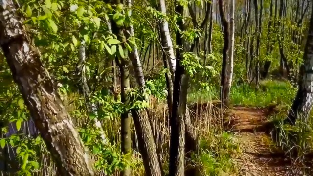 Валерий Сёмин  -  ПО НЕБУ ЛЕБЕДИ ПЛЫВУТ