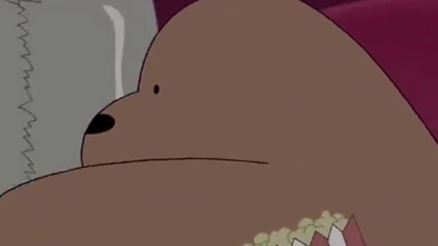 12740618_772711822861605_484672529_n