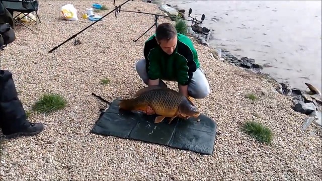 РИБА БЯГА ОТ РИБАРИ