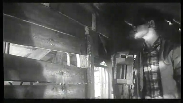 Загубено лято (1963) (част 3) VHS Rip Киновидеообъединение Крупный план