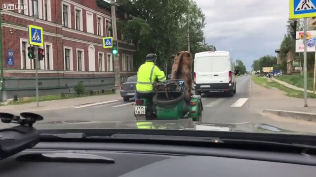 КАКВО МОЖЕ ДА ВИДИТЕ В РУСИЯ-СМЯХ