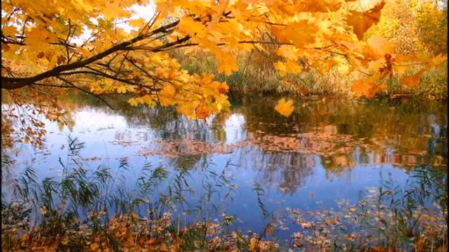 Сергей Трунов - Придуманная