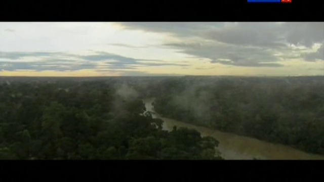 Амазония (ч.1)