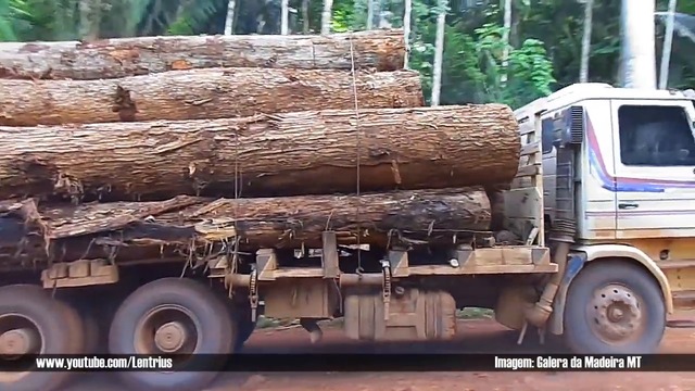 Extreme Trucker - SPECIAL LOGGING TRANSPORT - BRAZIL