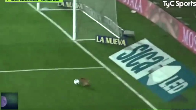 ЗАБАВНО КУЧЕ ПРЕКЪСНА МАЧ ОТ АРЖЕНТИНСКОТО ПЪРВЕНСТВО