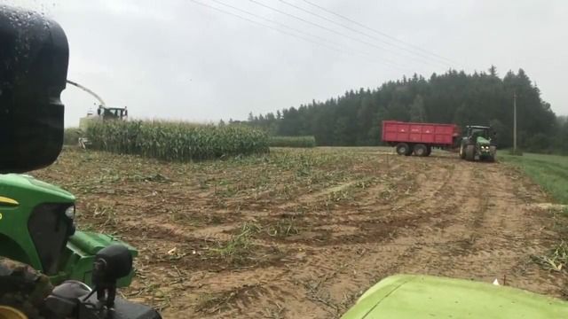 КЪДЕ СЕ КРИЯТ ДИВИТЕ ПРАСЕТА