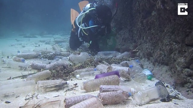 Невероятно! Вижте Събиране на Стотици пластмасови шишета от дъното на Океана