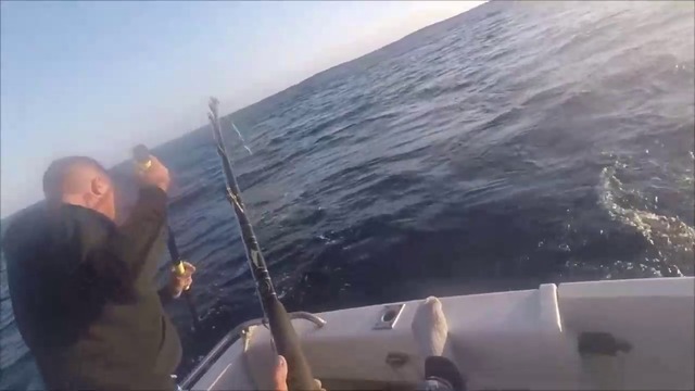 РИБА МЕЧ ЗА ЗА МАЛКО НЕ УБИ РИБАР