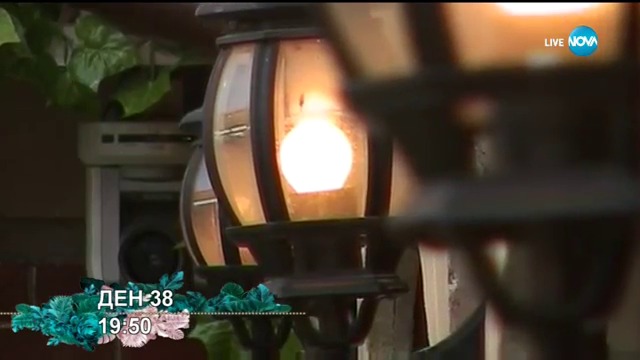 vipbrother-2017-10-20