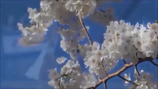 АЛИК БЕРИСОН  -    Никто тебя не любит так, как я