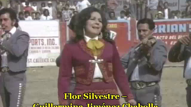 Flor Silvestre – 1977
