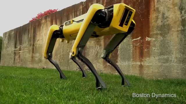 НОВИЯТ РОБОПЕС