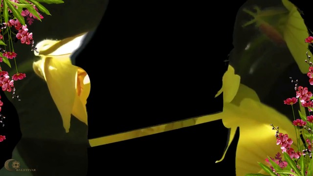 Максим Лидов - Девушка цветок