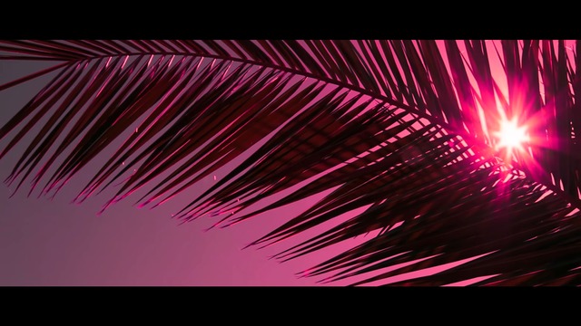 Serena - Safari (Official Video).MKV