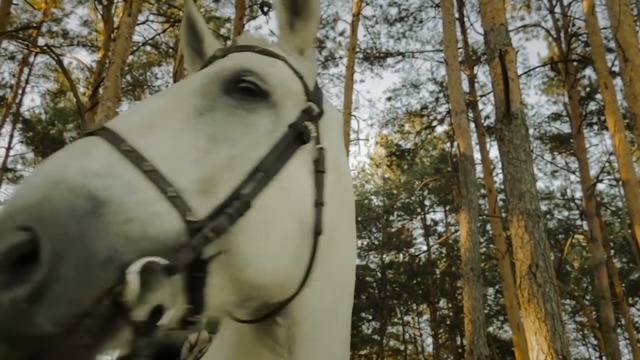 Валерий СЁМИН   -   Казачья народная песня " МИЛАЯ МАРУСЯ"