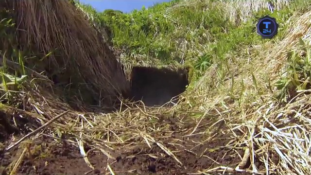 Спецпроект. Тайна острова Матуа (2)