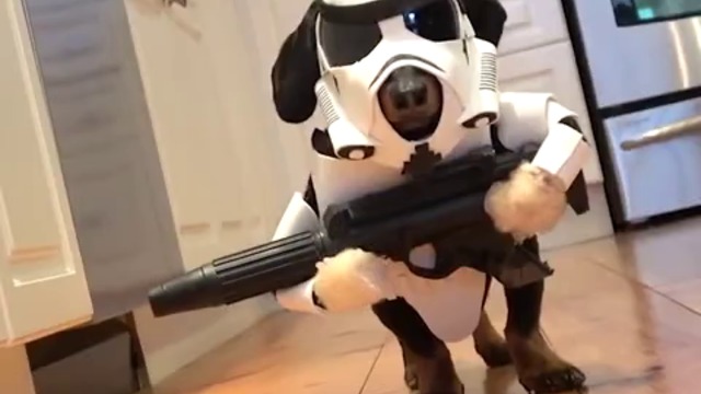 МЕЖДУЗВЕЗДНИ ВОЙНИ ПО КУЧЕШКИ