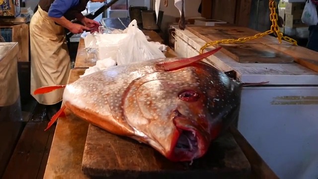 МАЛКА РИБКА -ОБСЛУЖВАНЕ НА КЛИЕНТИ