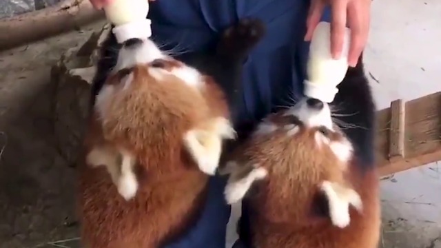 ВРЕМЕ Е ЗА ЯДЕНЕ