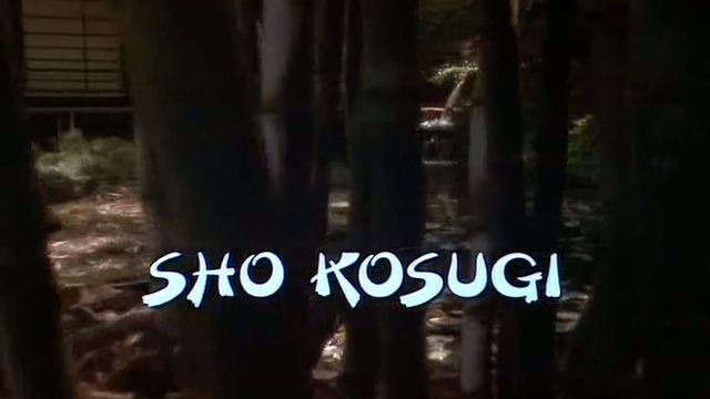 Отмъщението на нинджата (Revenge Of The Ninja), част 1 BG AUDIO