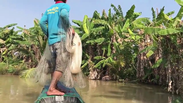 РИБАР ХВАНА РИБА МЕЧТА