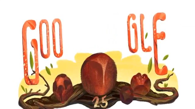 Рафлезия Арнолди , Рафлезия Арнолди Google Doodle - Рафлезия Арнолди – най-голямото цвете в света