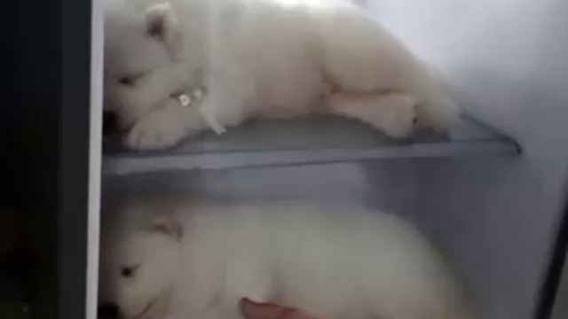 КОГАТО НЯМА ЗИМА ЗА НЯКОЙ Е МНОГО ТЕЖКО