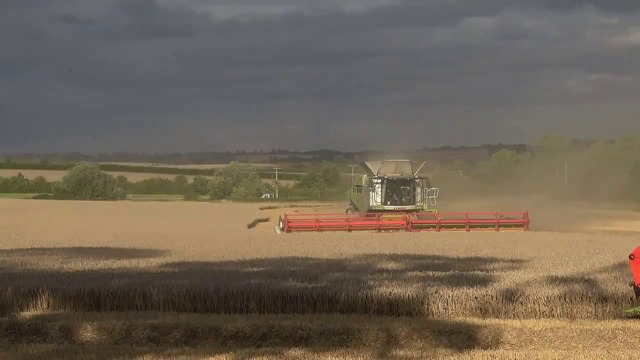 Largest CLAAS  LEXION 780, combine  in action