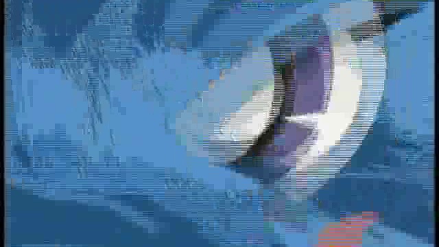 Yu-Gi-Oh! - 040 - Mass of Info_HDTV