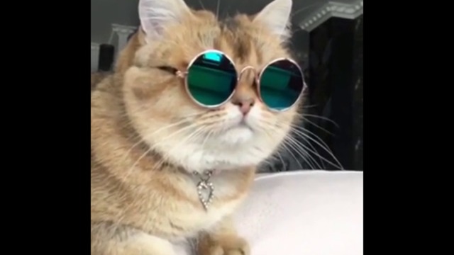 ПРОВЪРВЯ МУ В ЖИВОТА