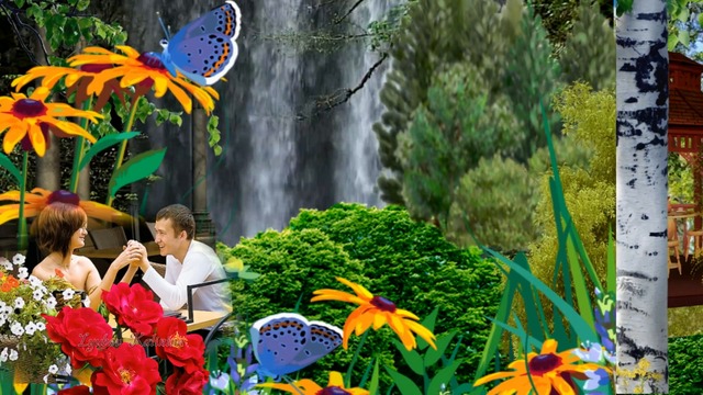 Андрей Ковалев  -  ВСЕ ЦВЕТЫ ЗЕМЛИ К ТВОИМ НОГАМ!